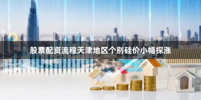 股票配资流程天津地区个别硅价小幅探涨