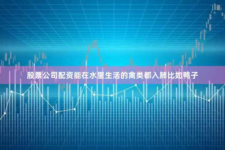 股票公司配资能在水里生活的禽类都入肺比如鸭子